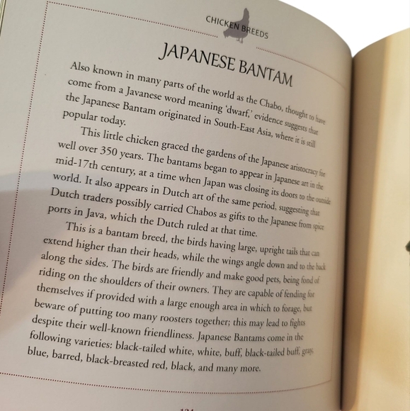 Cool Chickens Book NEW By Fern Collins - Picture 6 of 14